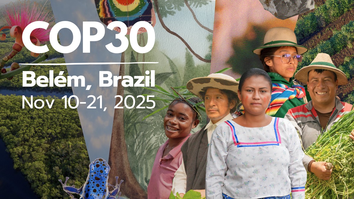 COP30 in Belem Brazil November 2025