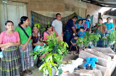 Guatemalans with trees to plant Guatemalans with trees to plant